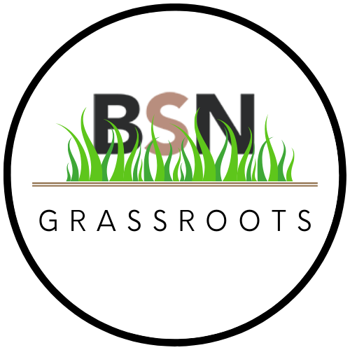 Black Solicitors Network Grassroots Programme logo